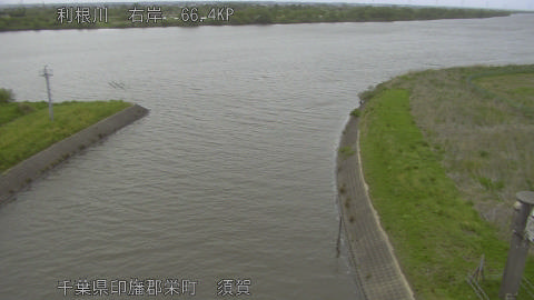 tonsu2026042418_image