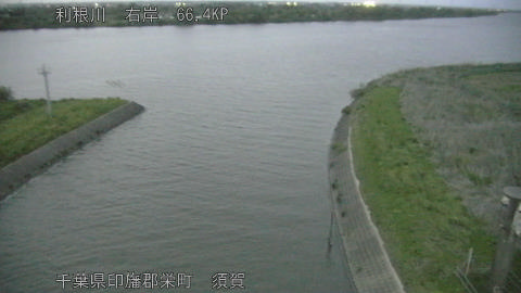 tonsu2026042419_image