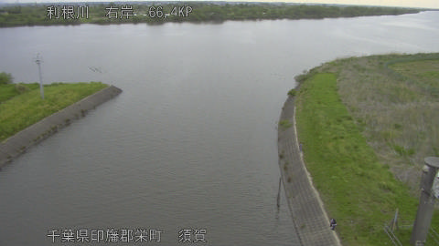 tonsu2026042506_image