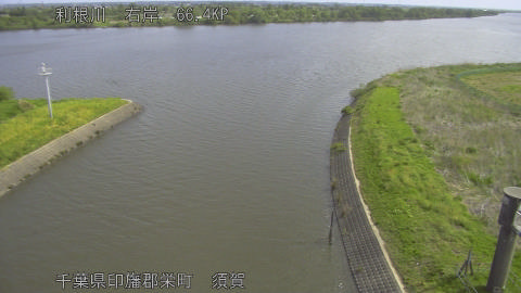 tonsu2026042509_image