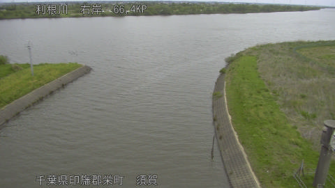 tonsu2026042511_image