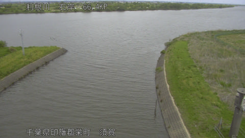 tonsu2026042512_image