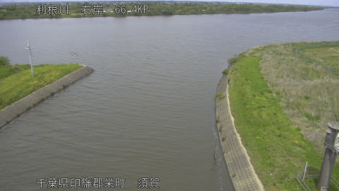 tonsu2026042513_image