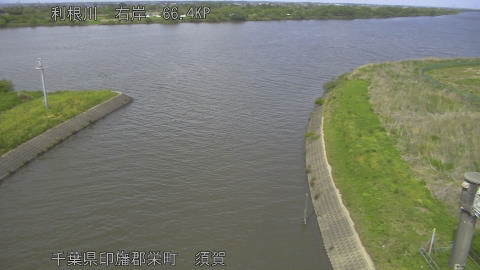 tonsu2026042514_image