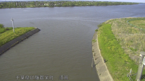 tonsu2026042516_image