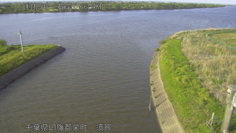 tonsu2026042517_image