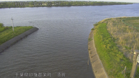 tonsu2026042518_image