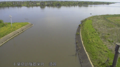 tonsu2026042609_image