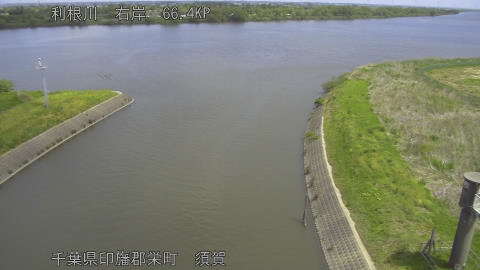 tonsu2026042611_image