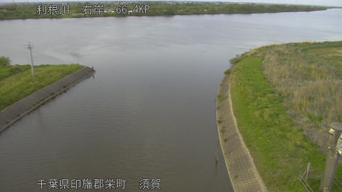 tonsu2026042618_image