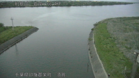 tonsu2026042619_image