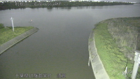 tonsu2026042622_image