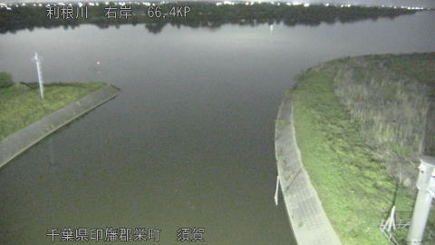 tonsu2026042623_image