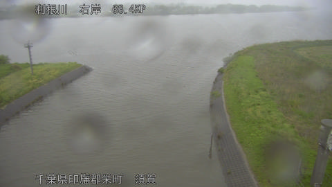 tonsu2026042706_image