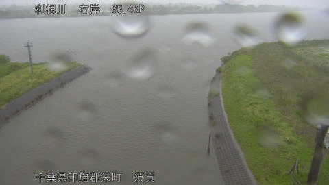 tonsu2026042709_image