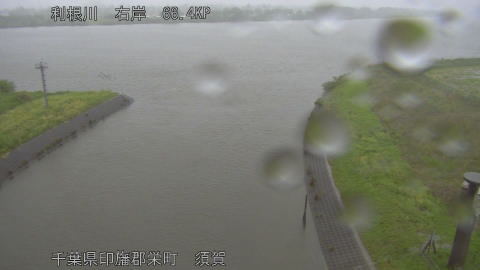 tonsu2026042710_image