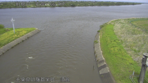 tonsu2026042713_image