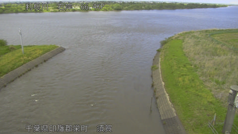 tonsu2026042714_image