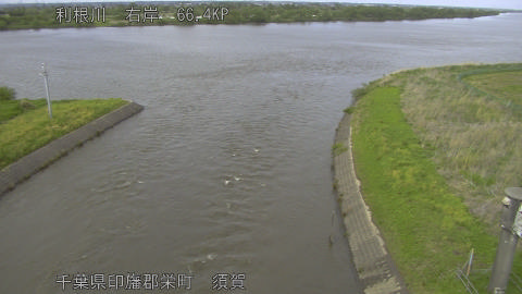 tonsu2026042715_image