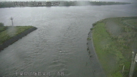 tonsu2026042719_image