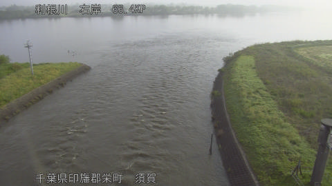 tonsu2026042807_image