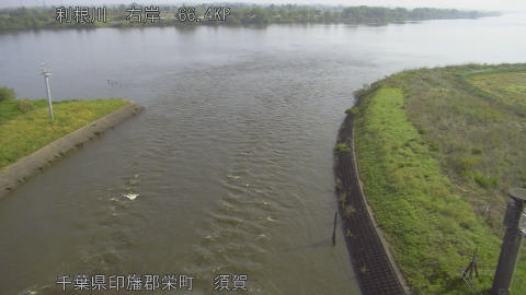 tonsu2026042808_image