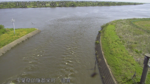 tonsu2026042809_image