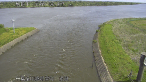 tonsu2026042810_image