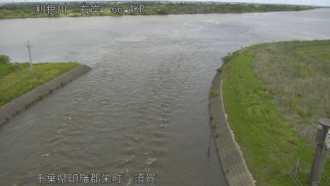 tonsu2026042811_image