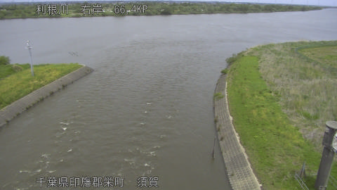 tonsu2026042812_image