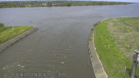 tonsu2026042813_image