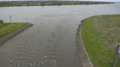 tonsu2026042815_image