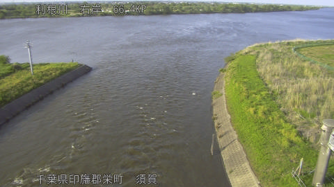 tonsu2026042817_image