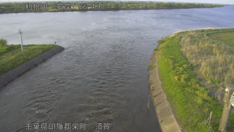 tonsu2026042818_image