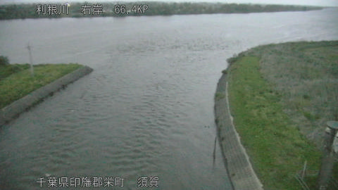 tonsu2026042905_image