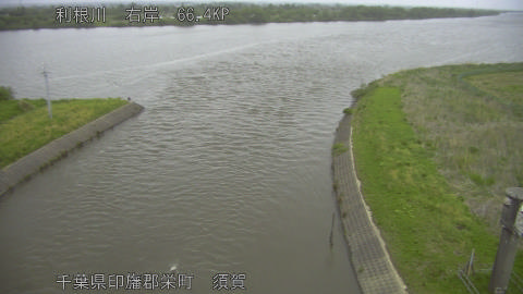 tonsu2026042906_image