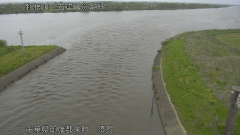 tonsu2026042908_image