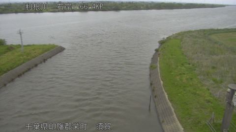 tonsu2026042910_image