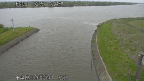 tonsu2026042912_image