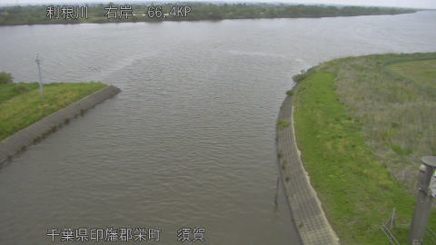 tonsu2026042913_image