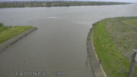 tonsu2026042914_image