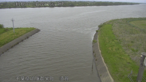 tonsu2026042915_image