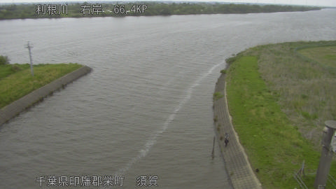 tonsu2026042916_image