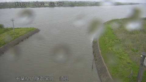 tonsu2026042917_image