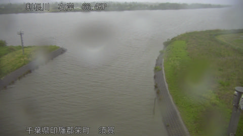 tonsu2026042918_image