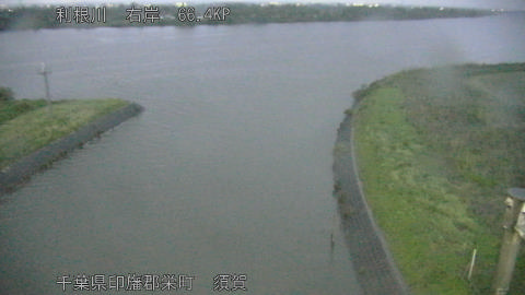 tonsu2026042919_image