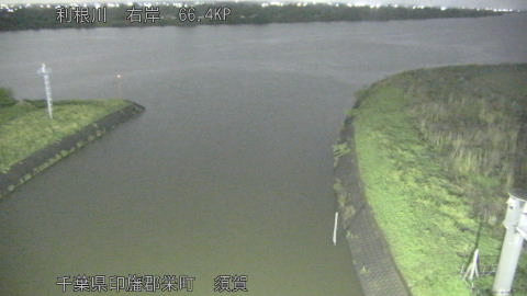 tonsu2026042920_image