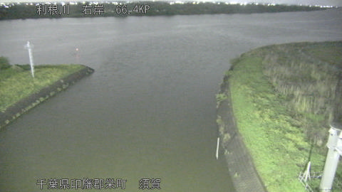 tonsu2026042921_image