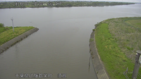 tonsu2026043006_image