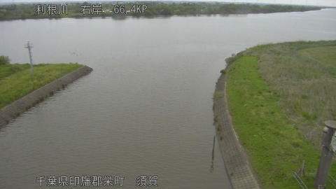 tonsu2026043007_image